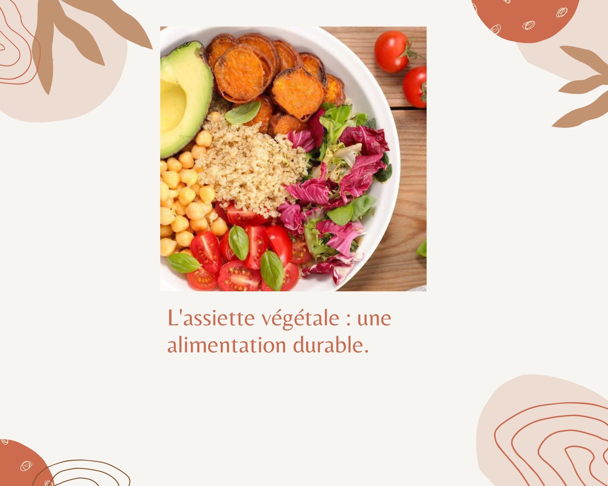 L'assiette végétale : une alimentation durable. - Les Menus Services